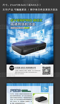 dm单底图 dm单底图模板下载 dm单底图图片设计素材 