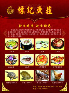 品味传统，乐享佳肴——老城饭庄邀您共享美食盛宴